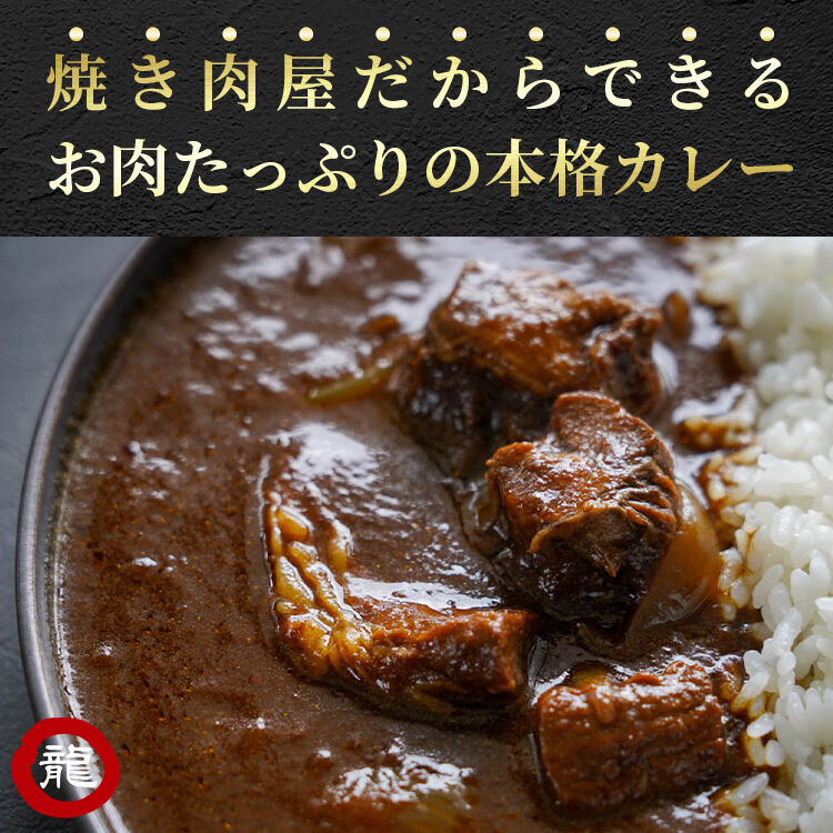 お肉ゴロゴロ龍園特製カレー  5P セット