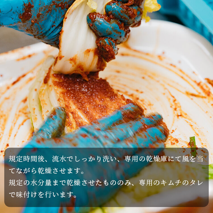 【龍園オリジナル】 ご自宅用 白菜 キムチ 500g