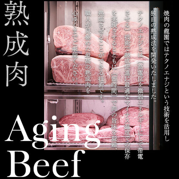 【春限定】 国産 黒毛和牛 焼肉  （1~2人前｜400g） 氷点下エイジング® 熟成 タン 400g セット