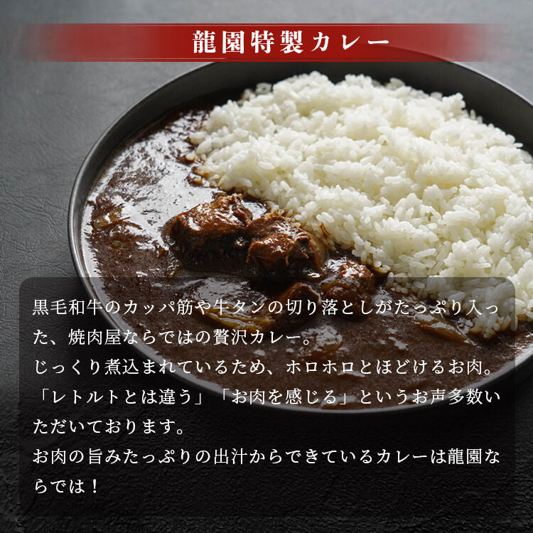 お肉ゴロゴロ龍園特製カレー  5P セット