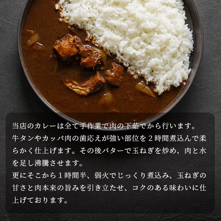 お肉ゴロゴロ龍園特製カレー  10Pセット <送料無料>